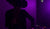 Live DJ Sets/Private Events